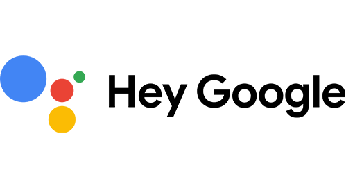 Google Assistant